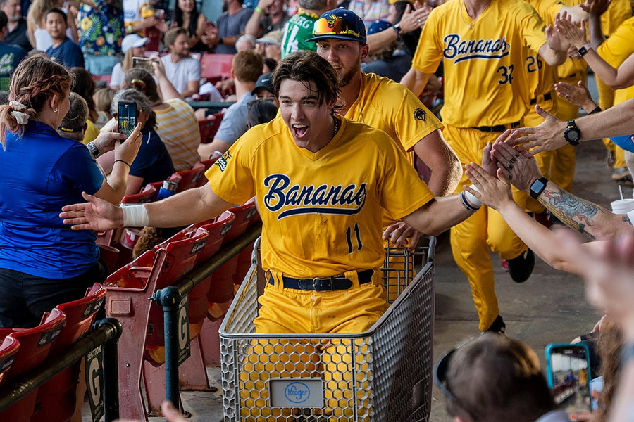 What Education Can Learn from the Savannah Bananas Baseball Team: Peeling Back the Layers